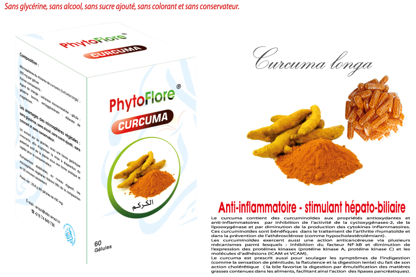 PHYTOFLORE CURCUMA B/60 – PARA CENTRE