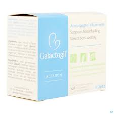 GALAGTOGIL LACTATION BT 24 SACHETS IPRAD