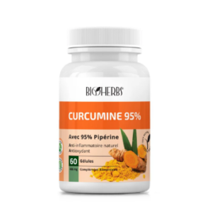 BIOHERBS CURCUMINE 95% BT/60 GELLULES