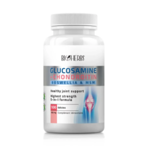 BIOHERBS GLUCOSAMINE+CHONDROITIN BT/100 GELULES