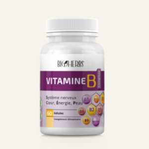 BIOHERBS VITAMINES B COMPLEXE BT/60 GELLULES