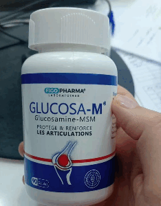 GLUCOSAM  BT/90 GELULES