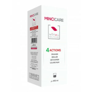 MINCICARE 4 ACTIONS 450 ML
